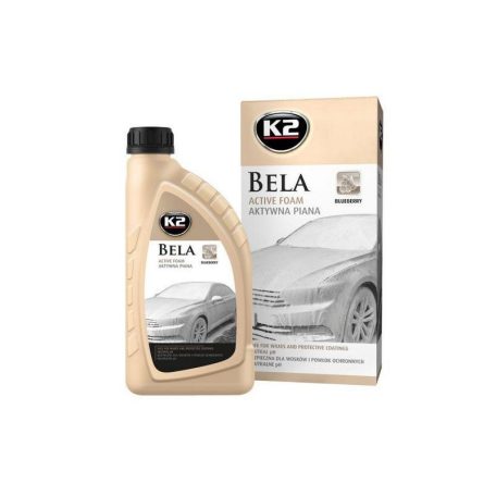 Aktív tisztító hab BLUEBERRY 1000 ml - G100BB