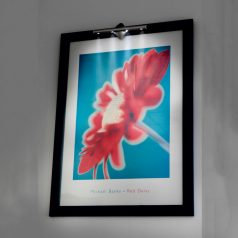 Multifunkciós LED lámpa