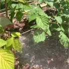 HOME GMS12 kerti párásító-permetező-öntöző készlet, 12 m vágható cső, 15 réz permetezőfej, adapter gyorscsatlakozóval