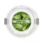 Krumplihámozó | 85 W | Kapacitás: 800 g | Műanyag | 2 Sebesség Beállítás | Fehér