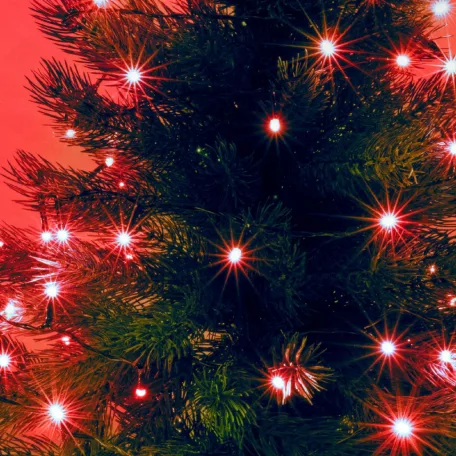 Home KII 100/R LED-es fényfüzér, 8 m / 100 db piros LED, állófényű, zöld vezeték, hálózati adapter, beltéri kivitel