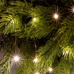   Home ML 50/WW micro LED-es fényfüzér, 4,9 m / 50 db melegfehér micro LED, állófényű, kapcsolható és időzíthető, átlátszó vezeték, elemes, beltéri kivitel