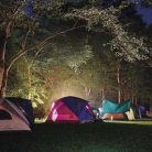 LED újratölthető kemping lámpa P2313, 350 lm