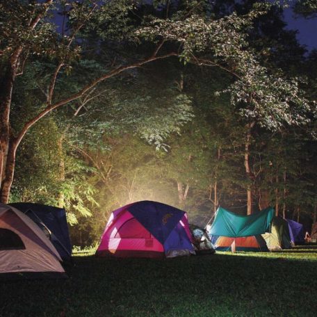 LED újratölthető kemping lámpa P2313, 350 lm