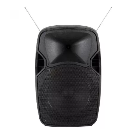 Hordozható zenekari hangdoboz, 30cm, akku, 2xMIC