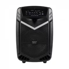   SAL PAR 30BT Nagy teljesítményű aktív Hangfal 60w bluetooth kapcsolat TWS lehetőség súly 6kg - professzionális Hordozható hangdoboz 30cm mélynyomó Party hangdoboz, 30cm, akku, BT, LED