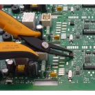 Lapos orrú fogó hosszú, fogazott állkapoccsal