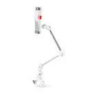 Tablet Állvány | Univerzális | Interaktív | Fehér / Fém