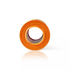   Porszívó szűrőbetét | Csere a következőre: Allaway | A/C-Series | Motor Szűrő