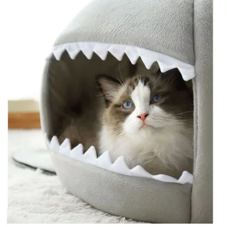 Kisállat fekhely- cápa