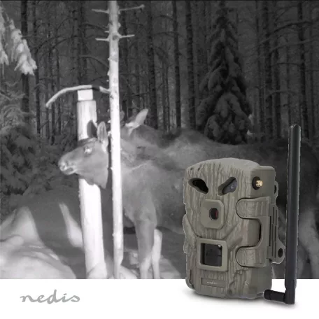 Wildlife Camera | 4G | 1080p@30fps | 30.0 MPixel | 2 MPixel CMOS | IP66 | 4G | Black No-Glow IR | Night vision | Viewing angle: 50 ° | Motion sensor | Detection angle: 50 ° | Detection range: 20 m | LCD Screen | Green