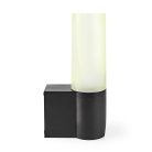 SmartLife kültéri kamera | Wi-Fi | Környezeti fény | Full HD 1080p | IP65 | Felhőalapú Tárolás (opcionális) / microSD (nem tartozék) / Onvif | 100 - 240 V AC | Mozgásérzékelővel | Éjjellátó | Fekete