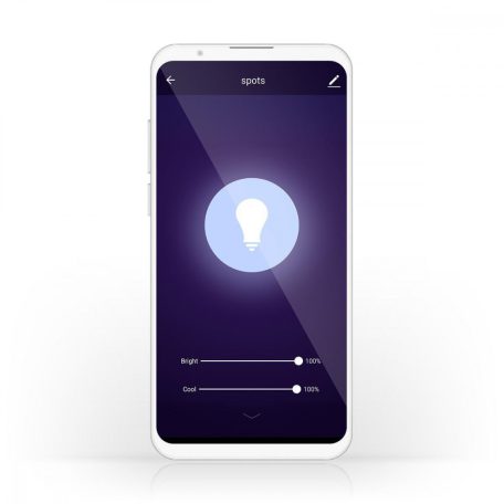 SmartLife LED izzó | Wi-Fi | E27 | 350 lm | 5.5 W | Hideg Fehér / Meleg Fehér | 1800 - 6500 K | Üveg | Android™ / IOS | G125 | 1 db