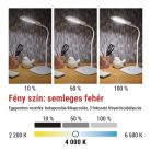 EMOS Stella LED asztali lámpa, fehér