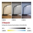 EMOS Molly LED asztali lámpa, fekete