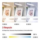 EMOS Molly LED asztali lámpa, fehér