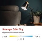 EMOS Tara LED asztali lámpa, fekete