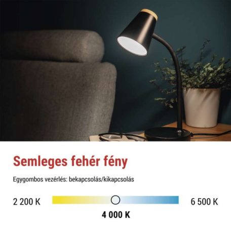 EMOS Tara LED asztali lámpa, fekete