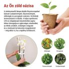 LED növénynevelő lámpa, teljes spektrum, 39 LED, beltéri, időzítővel, dimmelhető