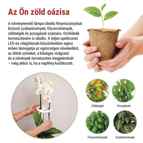 LED növénynevelő lámpa, teljes spektrum, 39 LED, beltéri, időzítővel, dimmelhető
