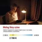LED izzó Filament Mini Globe A CLASS / E14 / 3,8 W (60 W) / 806 lm / meleg fehér