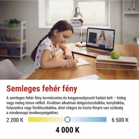 LED izzó Filament A60 / E27 / 5,9 W (60 W) / 806 lm / Természetes fehér