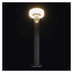   LED napelemes kerti lámpa TERION szürkületérzékelővel, 12,5 x 12,5 x 50 cm