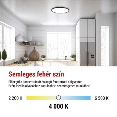 LED felületi lámpatest FLORI fekete, fehér, 22W, semleges fehér