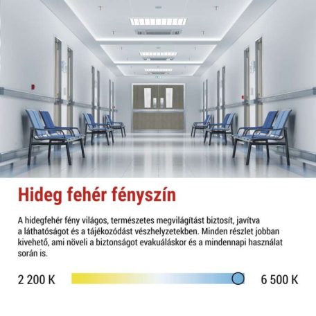 EMOS LED vészvilágító lámpatest NESSI 3W 3 óra IP66