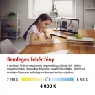 LED izzó Classic gyertya / E14 / 2,2 W (25 W) / 250 lm / Természetes fehér