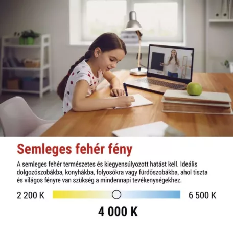 LED izzó Classic A60 / E27 / 14 W (120 W) / 1901 lm / Természetes fehér