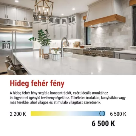 LED izzó Classic A60 / E27 / 14 W (120 W) / 1901 lm / Hideg fehér