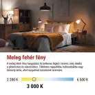 LED izzó Classic MR16 fehér/ GU10 / 7 W (72 W) / 1000 lm / Meleg fehér