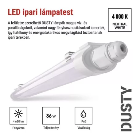 EMOS LED porálló lámpa DUSTY 36W IP65 4680lm természetes fehér