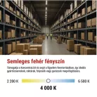 EMOS LED porálló lámpa DUSTY 36W IP65 4680lm természetes fehér