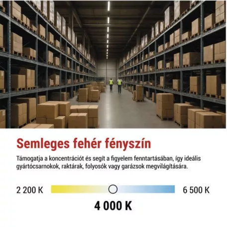 EMOS LED porálló lámpa DUSTY 36W IP65 4680lm természetes fehér