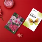 COLORWAY Fotópapír, PrintPro fényes, 180g/m, A4, 100pc. (PGE180100A4)