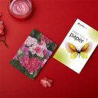 COLORWAY Fotópapír, PrintPro fényes, 200g/m, A4, 100pc. (PGE200100A4)