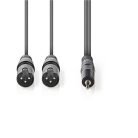 Nedis COTH15310GY30 balanced/szimmetrikus félprofi XLR audio kábel, 2x XLR 3 tűs dugó | 3,5 mm sztereo jack dugó, 3m