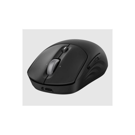 HP vezeték nélküli egér Rechargeable 700 - fekete