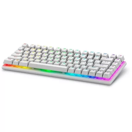 DELL Alienware Pro Wireless Gaming Keyboard - US (QWERTY) (Lunar Light)