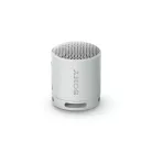 SONY SRSXB100H.CE7 Hordozható Vezeték nélküli Hangszóró, Szürke
