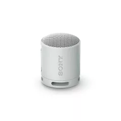   SONY SRSXB100H.CE7 Hordozható Vezeték nélküli Hangszóró, Szürke