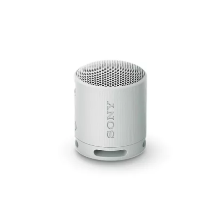 SONY SRSXB100H.CE7 Hordozható Vezeték nélküli Hangszóró, Szürke