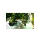 LG 16/7 Signage kijelző 65" 65UL3Q, 3840x2160, 350cd/m2, HDMIx3/RS-232C/RJ45/USBx2