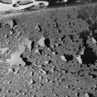 Tároló + tablet tartó autóülés háttámlára KENNY - WALSER