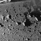 Tároló autóülés háttámlára JEREMY  - WALSER