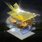 Takaróponyva vonófejre 82x32x59 cm - WALSER